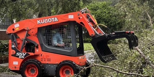 Land Clearing, Forestry Mulching, Brush Clearing, Lot Clearing, Tree Removal,Free Estimate Land Clearing, Forestry Mulching, Brush Clearing, Lot Clearing, Tree Removal,Free Estimate
