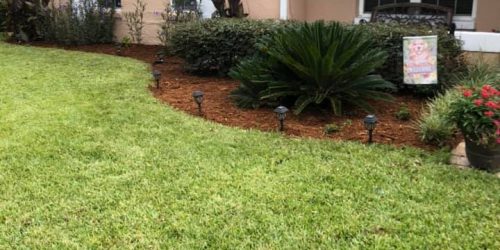 Landscaping, Landscaping Company, Landscaping Contractor, Landscaping Company, Free Estimate