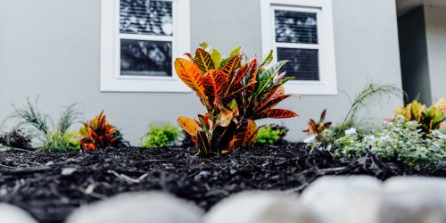 Landscaping, Landscaping Company, Landscaping Contractor, Landscaping Company, Free Estimate