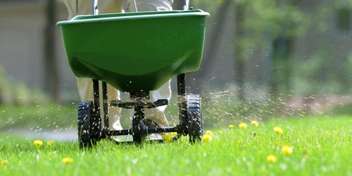 Lawn Aeration, Overseeding , Lawn Fertilization, Lawn Care, Lawn Mowing, Grass Cutting, Lawn Maintenance, Lawn Care Business