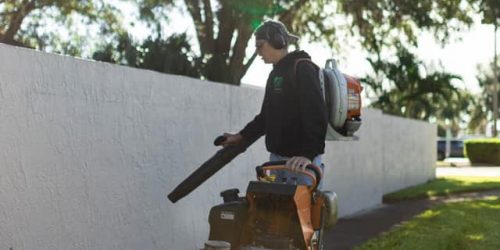 Lawn Care, Lawn Mowing, Grass Cutting, Lawn Maintenance, Lawn Care Business