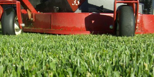 Lawn Mowing, Lawn Maintenance, Grass Cutting, Lawn Care, Free Estimate