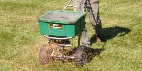 Lawn Aeration, Overseeding , Lawn Fertilization, Lawn Care, Lawn Mowing, Grass Cutting, Lawn Maintenance, Lawn Care Business