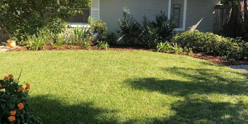 Sod Installation, Sod Installer, New Sod, Sod Company, Sod Contractor, Free Estimate