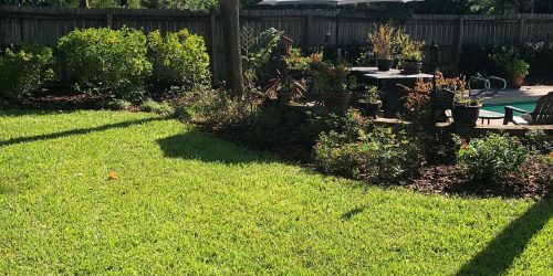 Sod Installation, Sod Installer, New Sod, Sod Company, Sod Contractor, Free Estimate